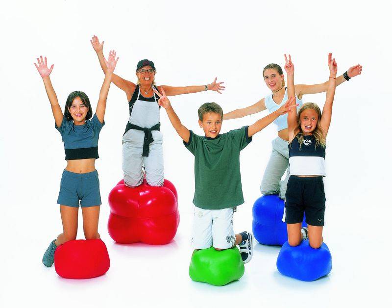 Wielokształt terapeutyczny Octositz TOGU